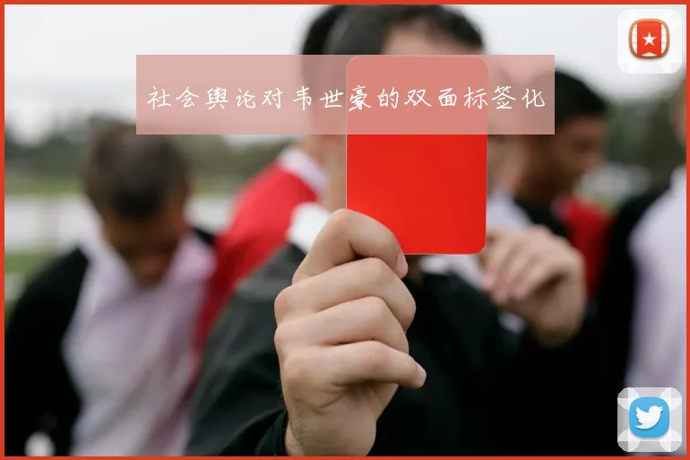 社会舆论对韦世豪的双面标签化