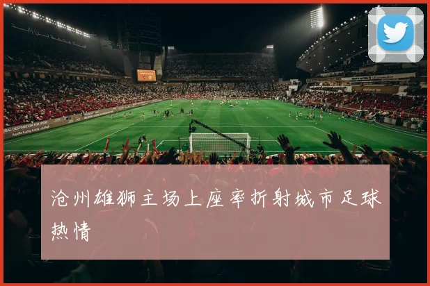 沧州雄狮主场上座率折射城市足球热情