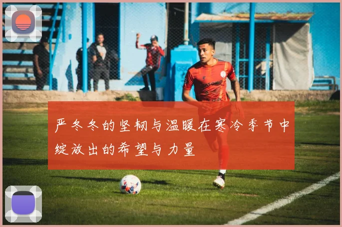 严冬冬的坚韧与温暖在寒冷季节中绽放出的希望与力量